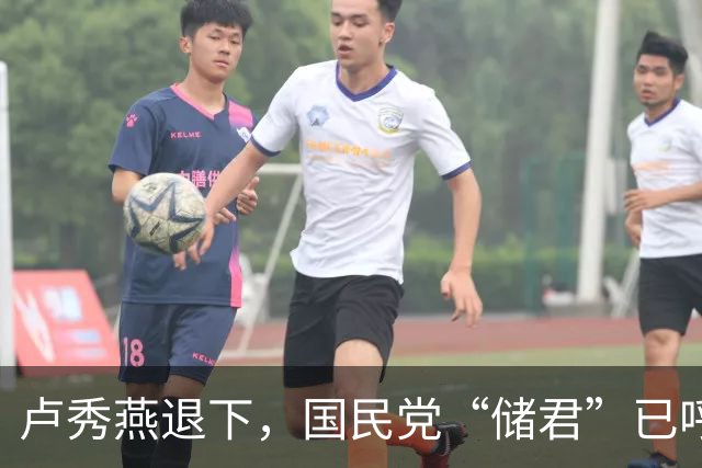 卢秀燕退下,国民党“储君”已呼之欲出,郑丽文早知道没自己的事